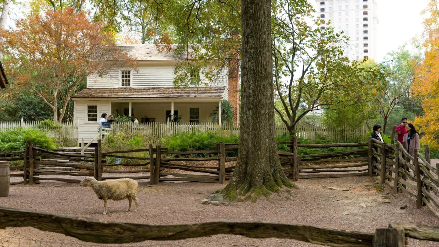 Smith Family Farm